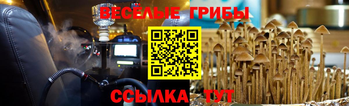 Псилоцибиновые грибы мицелий  купить наркотик  Майский  Галлюциногенные грибы мухоморы  Вход с VPN 
