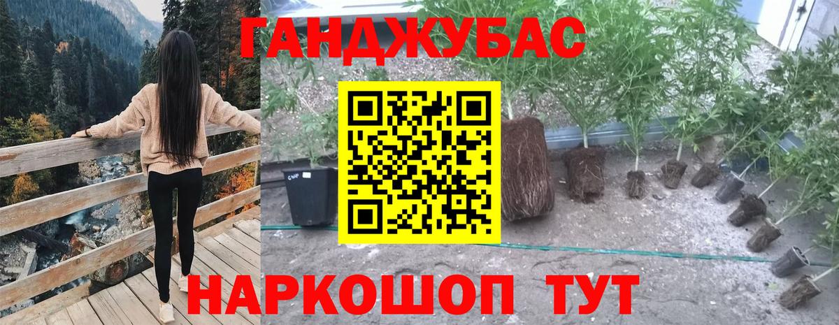 Майский  МАРИХУАНА LSD WEED  Бошки марихуана White Widow  Шишки марихуана план  Вход с VPN  Шишки марихуана сатива 